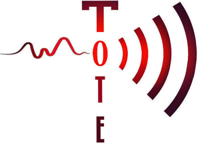 Logo Totem Électroacoustique
